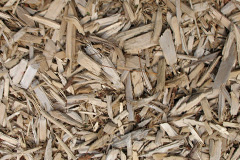 biomass boilers Ogdens